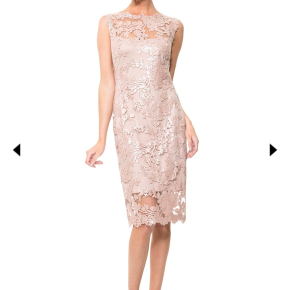 Tadaschi Shoji Paillette Embroidered Lace stretch Sheath Dress Rosegold - Picture 1 of 7
